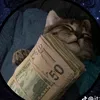 auxhd_