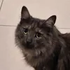 beth_cffbhu