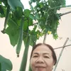nguynmng2