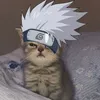 kittipeww