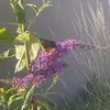 rriivv33rr