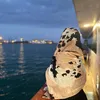 rorxoo1