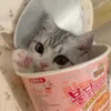 kmjchh1234