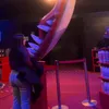 ladymiamoorr