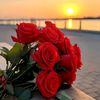 anna_tota