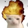 toosavtav