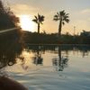 youssefwahba_