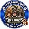 deannas_tiny_dinys
