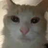 strickj4
