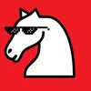 the.chesskid