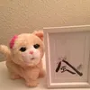 thecat_official