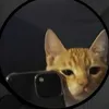 anthonybedore