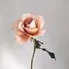 hy_mydear