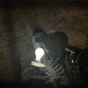 thatvoiceguy