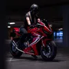 bikerchicknl