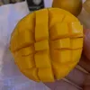 ofirlevi_