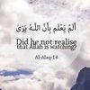 quran_verse_1