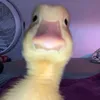 emmakiara2812
