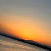 habibiba