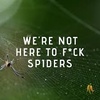 notheretofuckspiderz