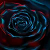 alice247090