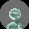 validbmma