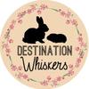 destinationwhiskers