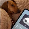 notsolilgirl
