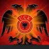 ahmetgalica