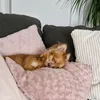 bilbo.vom.elfenmond
