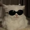 asmrconoisseur
