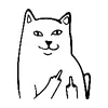 crazzy_cat007