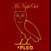 mr.nightowl515