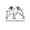 endellionbrittanys