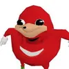therealerteej
