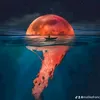 tanjoo_06
