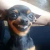 lyangieee