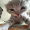 nruzanaa