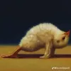 ayebru_fartedhere