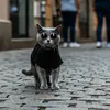 ztpxrclmowvneqfujkd8