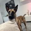 tokyo_lemalinois