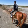 austinmillay2