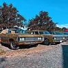 mrimpala_1969