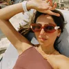 ritafialho1
