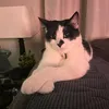 haleyf0808