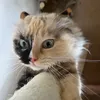 sharonmy8