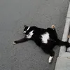 troubledsoda