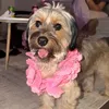 patriciaandstormy
