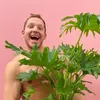 plantegutt