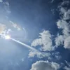 only_therappy